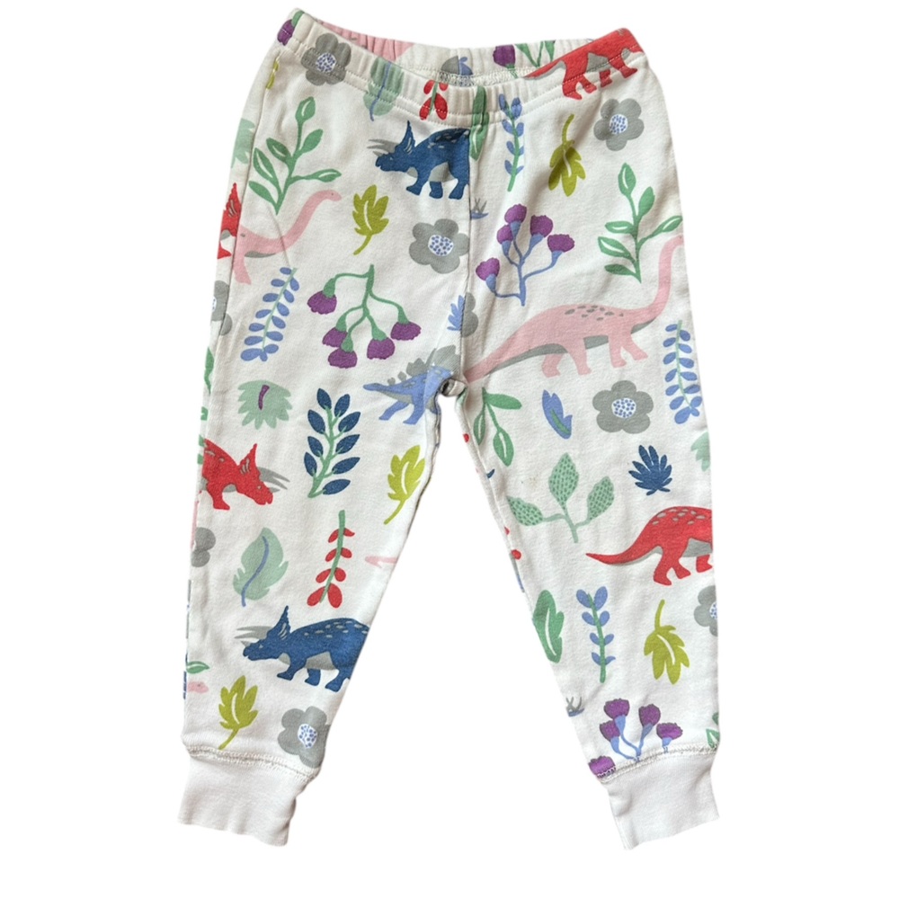 2 Year | Mini Boden | Dinosaur Floral Pajama Bottoms